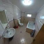 Piculjan